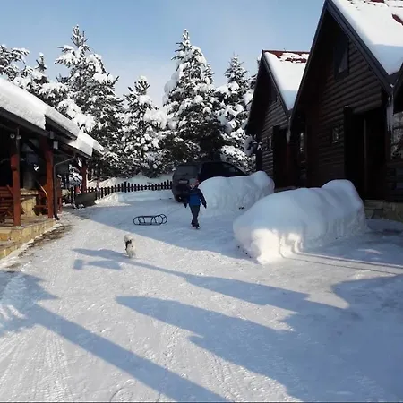 Zlatibor Brvnare Zakos Villa Екстериор снимка