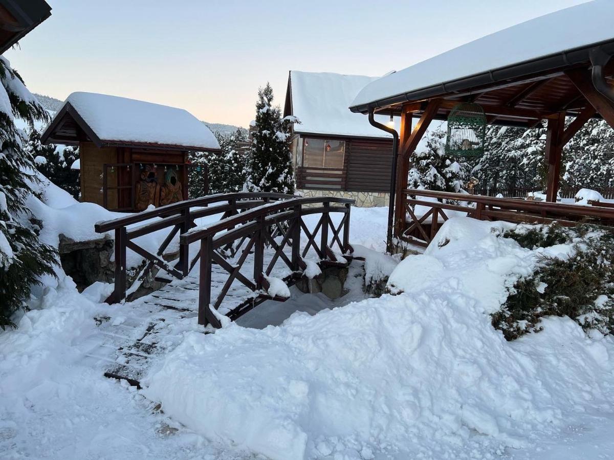 Brvnare Zakos Dağ evi Zlatibor