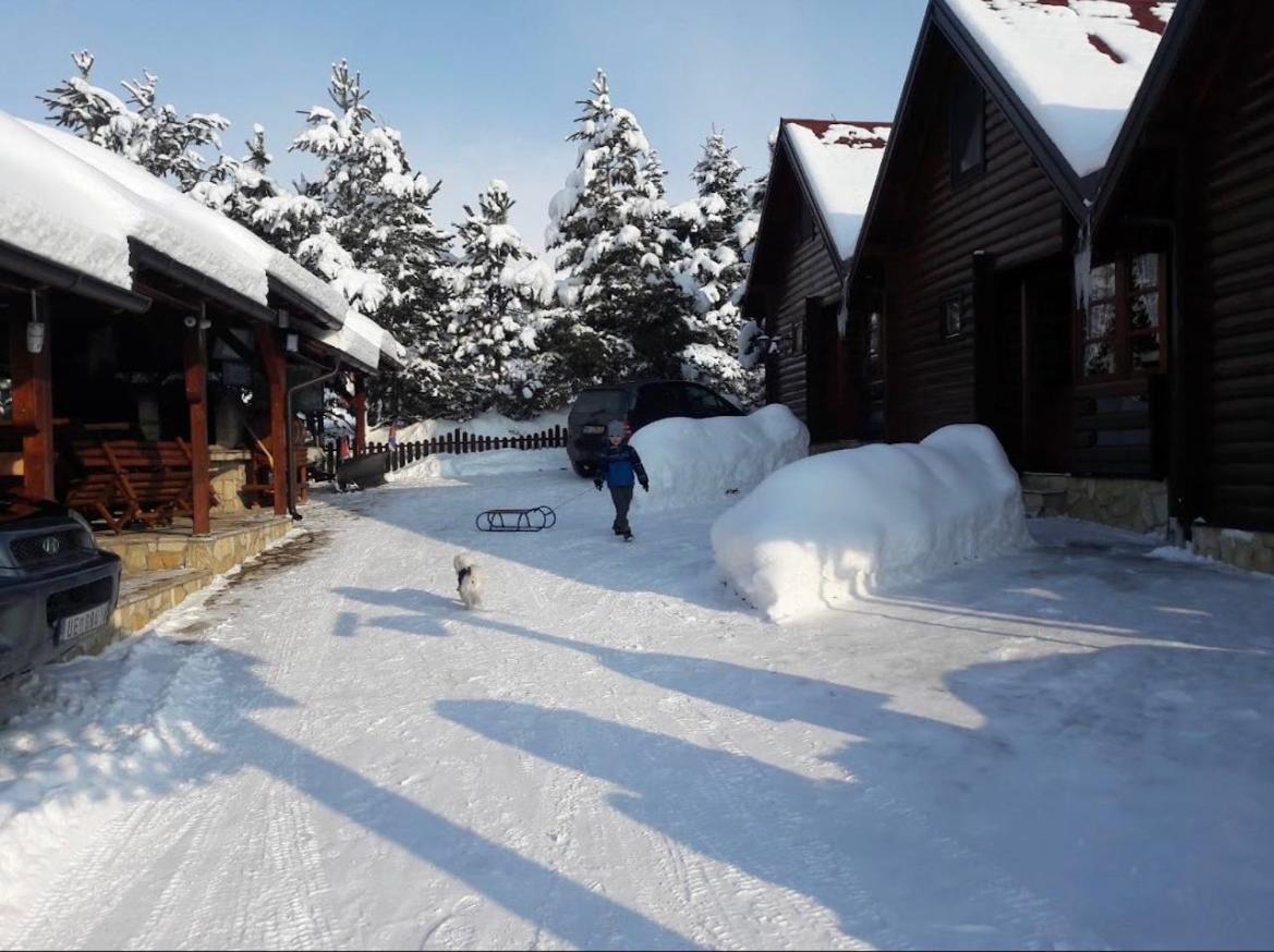Dağ evi Brvnare Zakos Zlatibor